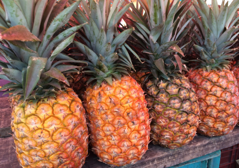 PIÑA