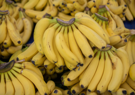 PLATANO