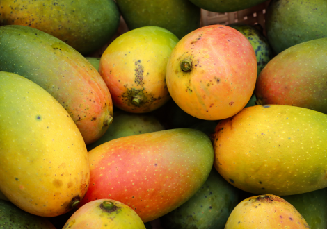 MANGO